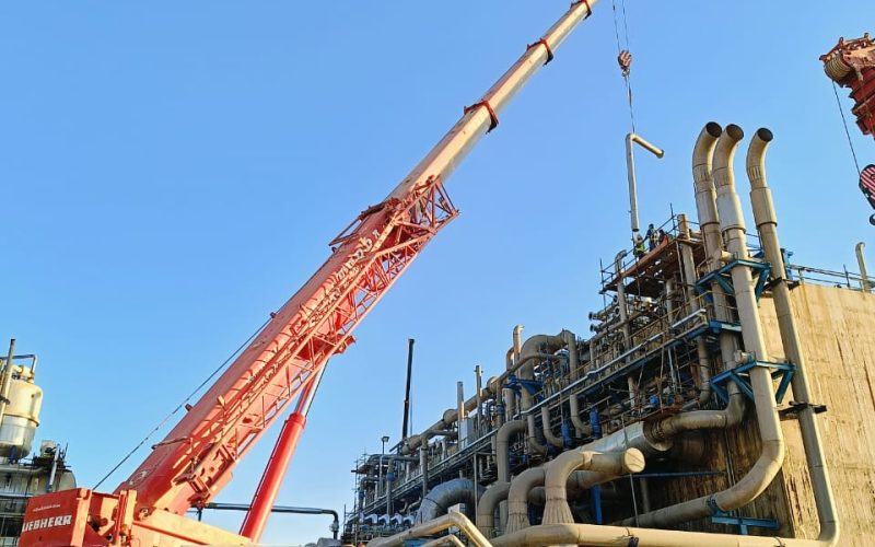 WhatsApp Image 2024-03-27 at 14.20.28_bd8638ca